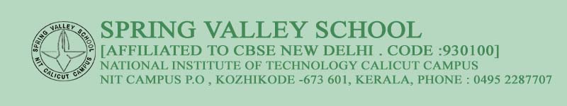 SPRING VALLEY SCHOOL